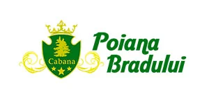 Логотип клиента